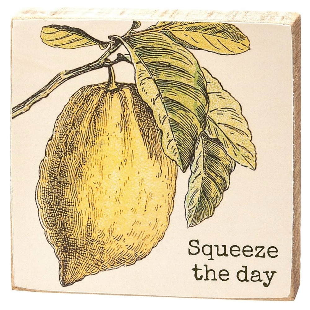 Primitives by Kathy “Squeeze the Day” Block Sign